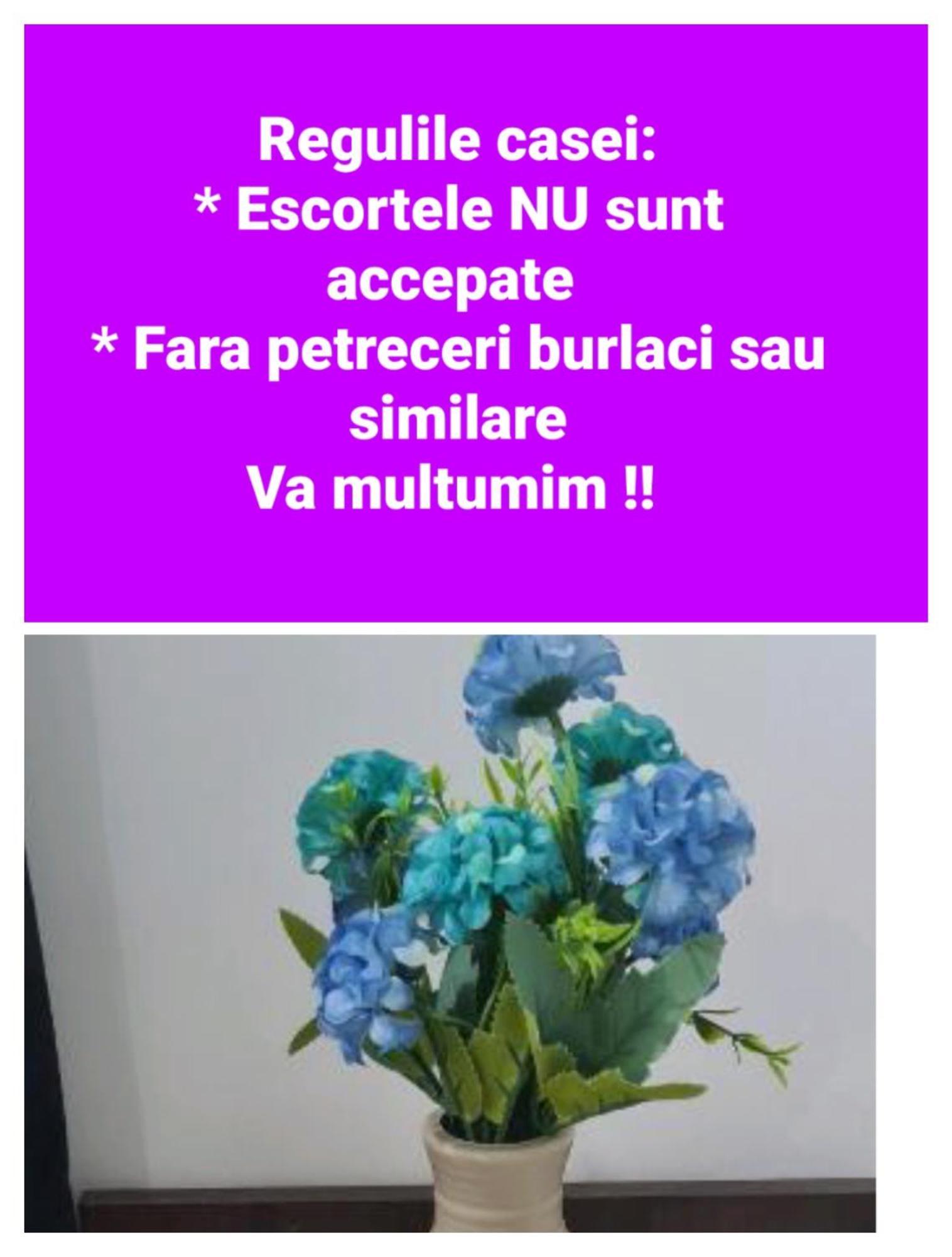 Seby Studio Constanta Ngoại thất bức ảnh
